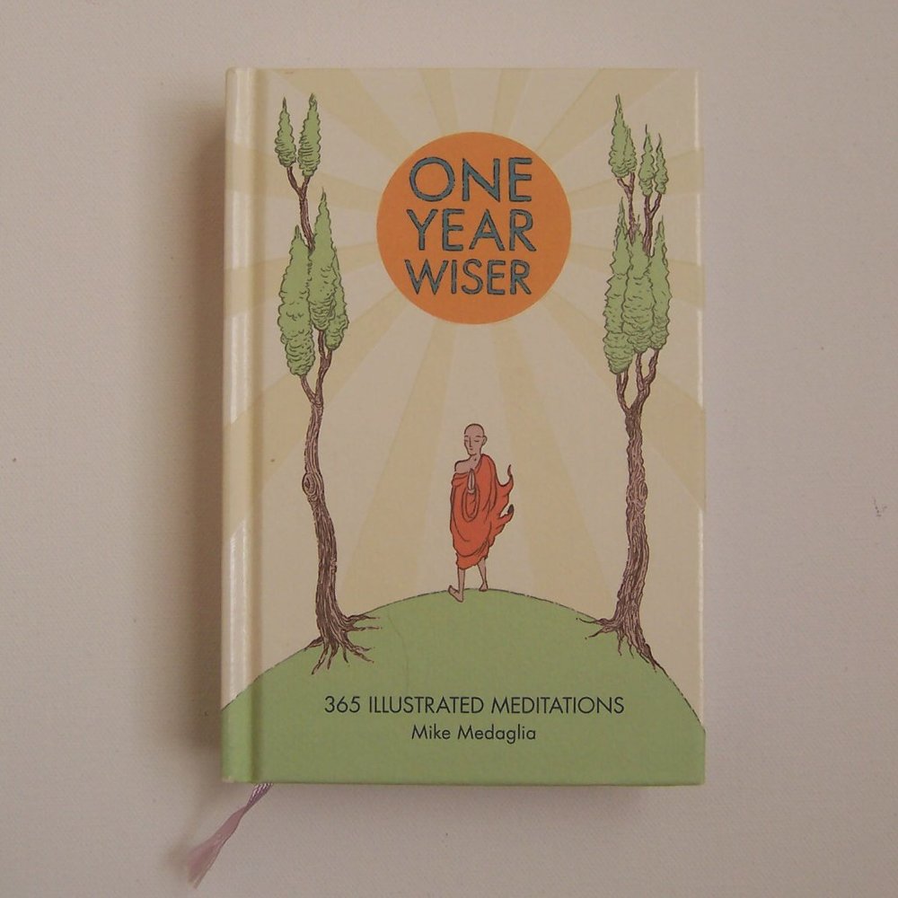 ONE YEAR WISER - 365 Illustrated Meditations Book